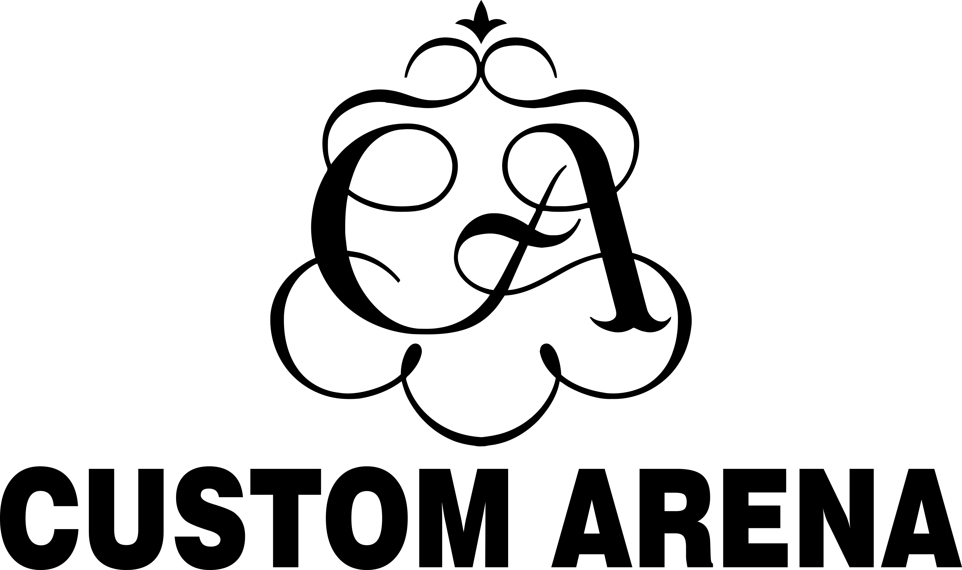 Custom Arena Logo